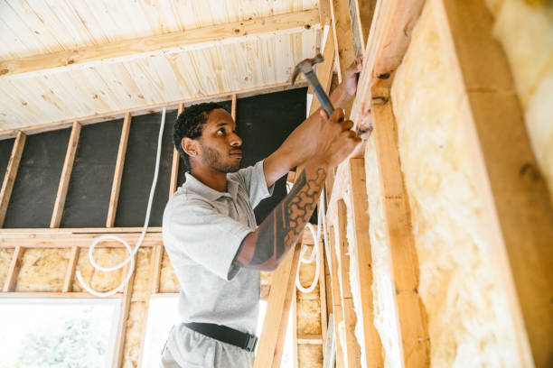 Insulation Replacement Services in Belleair Beach, FL