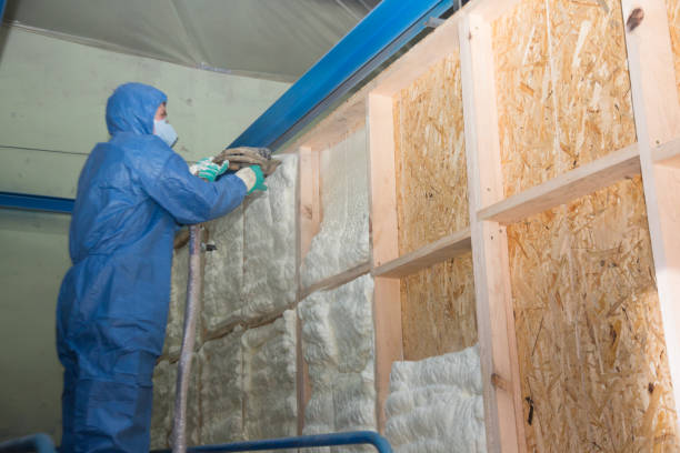 Reliable Belleair Beach, FL Insulation Contractor Solutions
