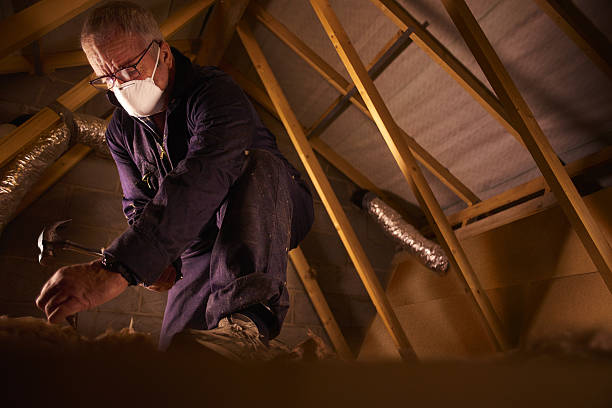 Best Insulation Removal  in Belleair Beach, FL